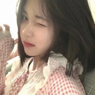 守法的盗贼